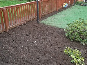 Garden tidy - after